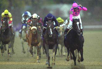 ブリーダーズC・・・結果